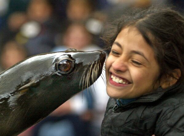 سگ دریایی در باغ وحش بوئنوس آیرس دختری را می‌بوسد. - اسپوتنیک افغانستان  
