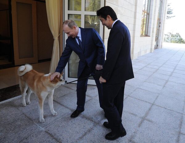 نخست وزیر سابق جاپان با ولادیمیر پوتین، رئیس جمهور روسیه. - اسپوتنیک افغانستان  