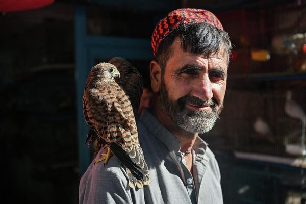 یک فروشنده در بازار فروش پرندگان کوچه کاه فروشی در کابل - اسپوتنیک افغانستان  