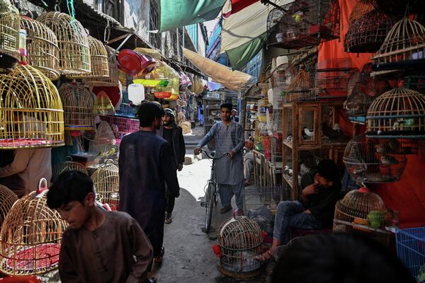حضور ساکنان شهر در بازار پرندگان - اسپوتنیک افغانستان  