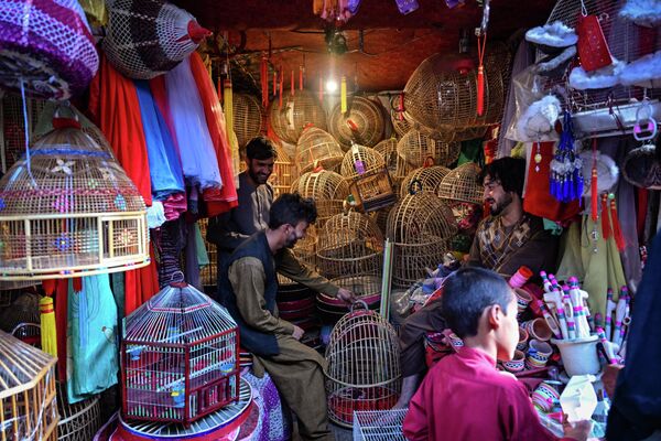 فروشندگان بازار در حال آماده سازی قفس برای پرندگان - اسپوتنیک افغانستان  