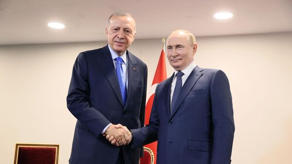 Президент Турции Реджеп Тайип Эрдоган и президент РФ Владимир Путин во время встречи в Тегеране - اسپوتنیک افغانستان  