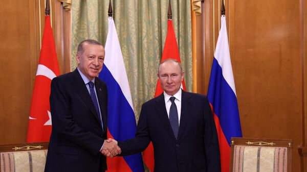 Президент РФ Владимир Путин и президент Турции Реджеп Тайип Эрдоган во время встречи в Сочи - اسپوتنیک افغانستان  