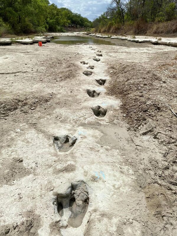 پارک ایالتی دره دایناسور ها/  ردپای دایناسورها مربوط به حدود 113 میلیون سال پیش ن است که در پارک ایالتی تگزاس پس از  خشکسالی شدید که باعث خشک شدن یک رودخانه شد، کشف شده است. - اسپوتنیک افغانستان  