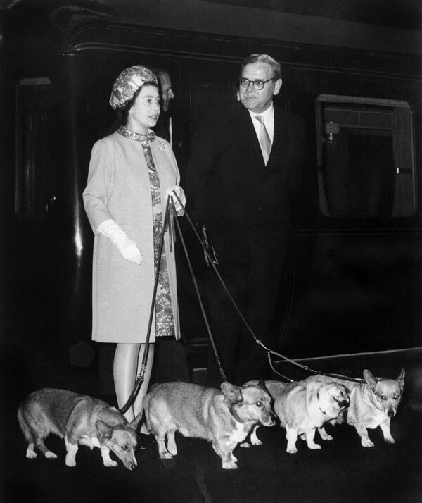 ملکه الیزابت دوم در 15 اکتوبر 1969 به همراه چهار سگ خود - اسپوتنیک افغانستان  