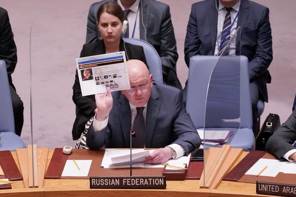 واسیلی نبنزیا، سفیر روسیه در سازمان ملل متحد - اسپوتنیک افغانستان  