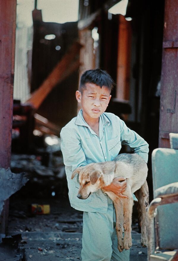 پسری که سگش را در زمان جنگ ویتنام در بغل گرفته است - اسپوتنیک افغانستان  