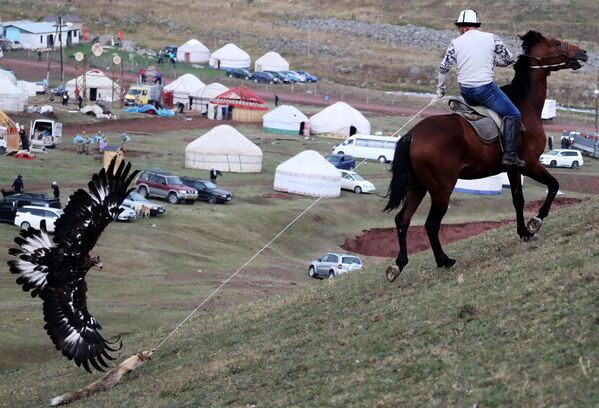 مسابقات شکار و اسب سواری در قرقیزستان - اسپوتنیک افغانستان  