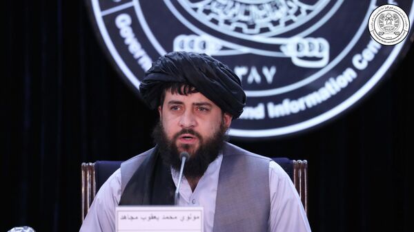 ملا محمد یعقوب - اسپوتنیک افغانستان  