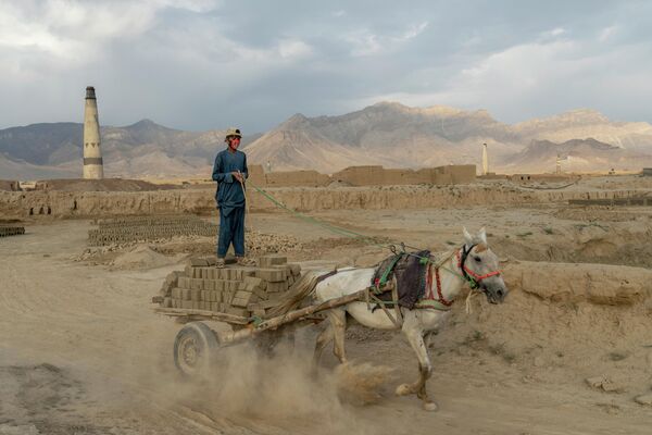 پسر 13 ساله درحال جمع آوری خشت در یک فابریکه خشت سازی.  - اسپوتنیک افغانستان  