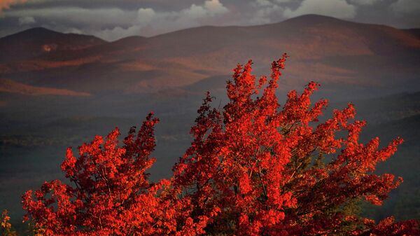 پاییز رنگارنگ در کشورهای مختلف جهان  - اسپوتنیک افغانستان  