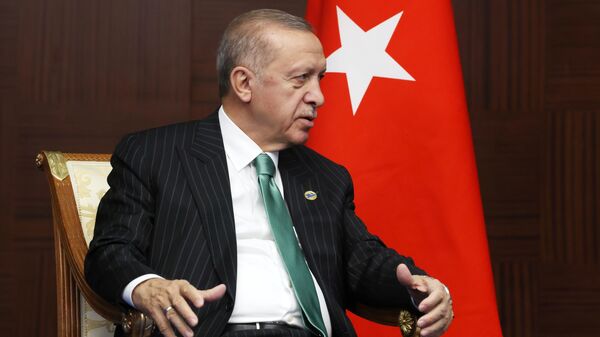 Президент Турции Реджеп Тайип Эрдоган во время беседы с президентом РФ Владимиром Путиным на полях VI саммита Совещания по взаимодействию и мерам доверия в Азии в Астане - اسپوتنیک افغانستان  
