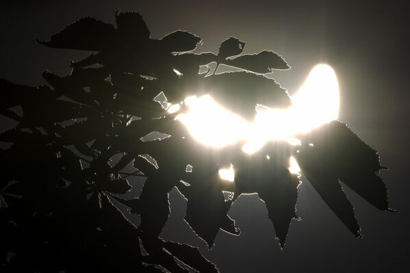 خورشید گرفتگی جزئی در مسکو مشاهده شد. - اسپوتنیک افغانستان  