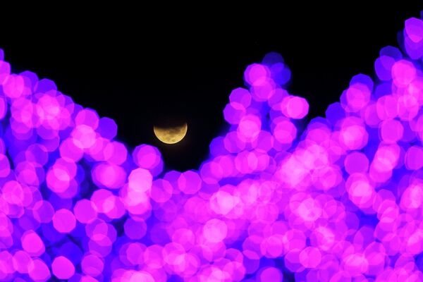 با مشاهده چراغ‌های کریسمس گذشته، سایه زمین شروع به پوشاندن ماه در طی ماه‌گرفتگی در یک میدان عمومی در کاراکاس، ونزوئلا، در اوایل سه‌شنبه، 8 نوامبر 2022 می‌کند. - اسپوتنیک افغانستان  