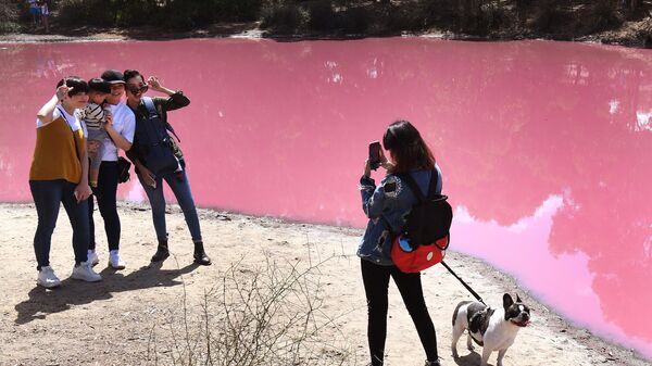 Озеро ярко-розового цвета в Австралии, ставшее таким из-за экстремального уровня соли в связи с жаркой погодой - اسپوتنیک افغانستان  