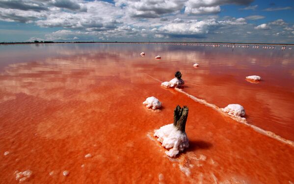 دریاچه  سیواش در یوپاتوریا، کریمه، روسیه - اسپوتنیک افغانستان  