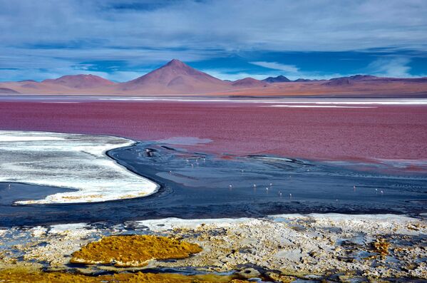 دریاچه لاگونا کولورادا، بولیوی - اسپوتنیک افغانستان  