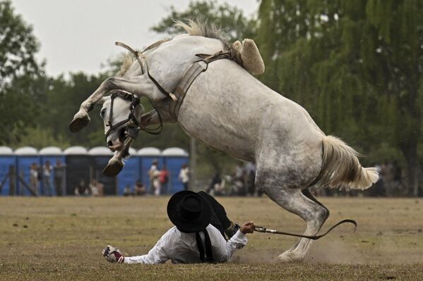 یک اسب سوار در همایش رودئو در هشتاد و سومین جشنواره سنتی در سن آنتونیو د آرکو، آرژانتین، 12 نوامبر 2022 - اسپوتنیک افغانستان  