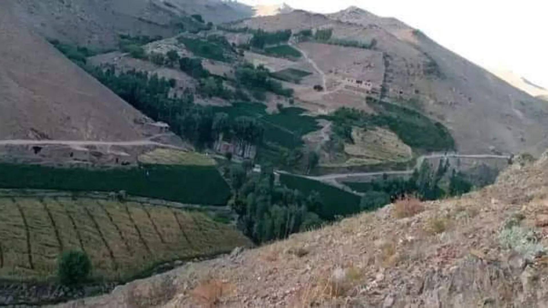 واکنش ها به کشتار افراد ملکی از سوی گروه طالبان در دایکندی
