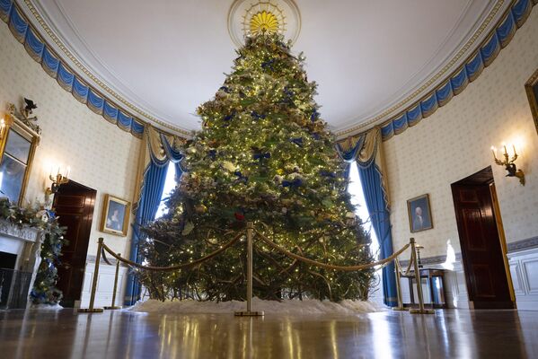 درخت کریسمس کاخ سفید در اطاق آبی در جریان یک نمایش رسانه ای برای تعطیلات سال 2022 در کاخ سفید. واشنگتن دی سی 28 نوامبر 2022 - اسپوتنیک افغانستان  