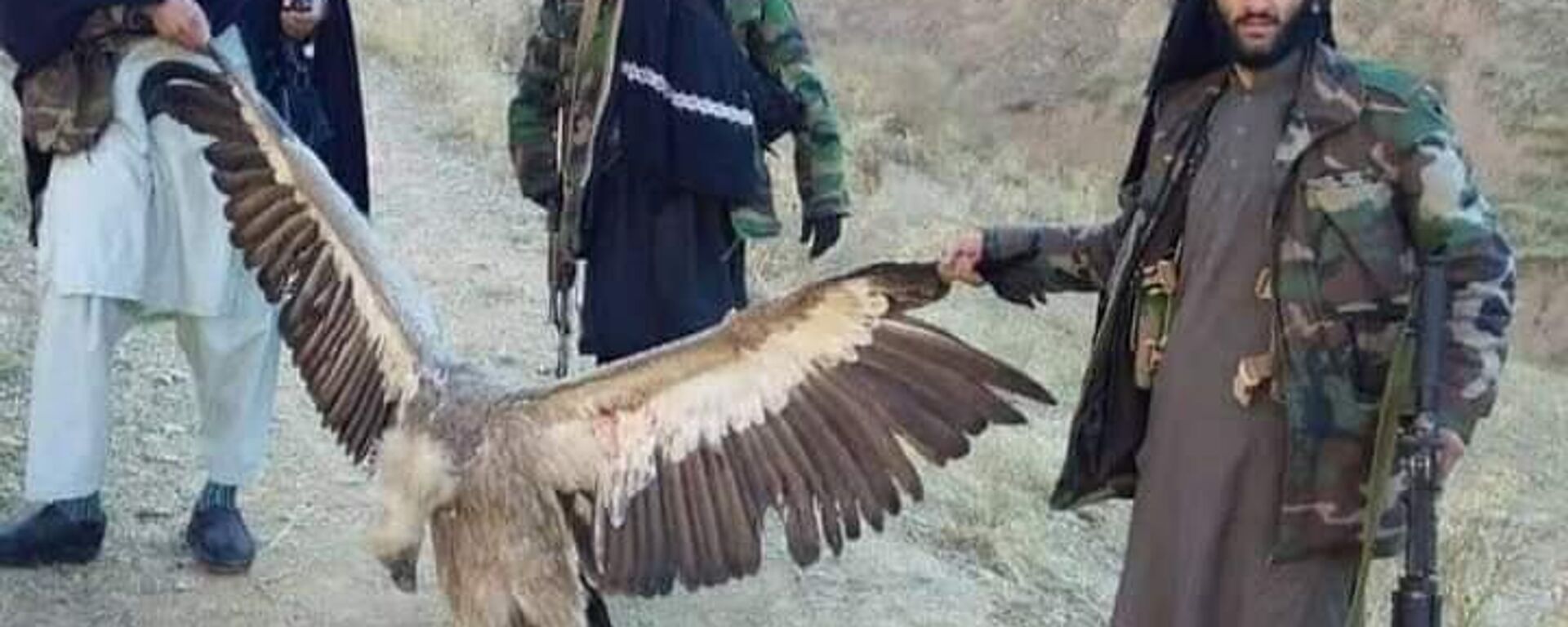 صید پرندگان نایاب در افغانستان - اسپوتنیک افغانستان  , 1920, 01.12.2022