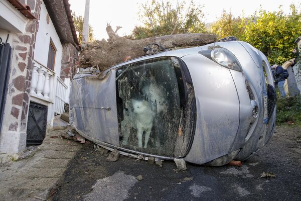 یک سگ که برای 72 ساعت در موتر  صاحبش گیر مانده بود، جزیره ای جنوبی ایتالیا. - اسپوتنیک افغانستان  