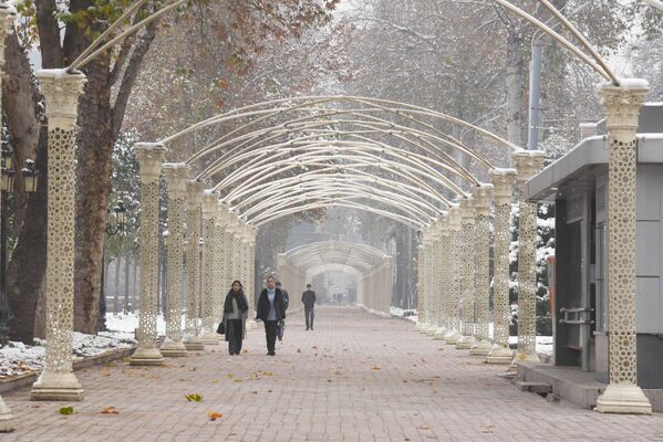 هوای این ماه حال و هوای سال نو میلادی را برای باشندگان شهر دوشنبه پیش از سررسید به ارمغان می آورد. - اسپوتنیک افغانستان  