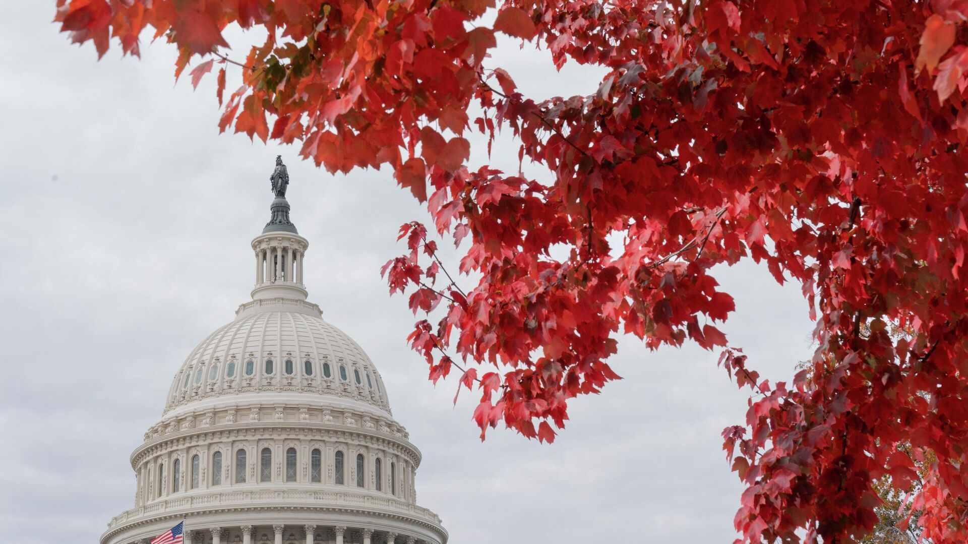 أوراق الخريف الحمراء تحيط بمبنى الكابيتول الأمريكي في مبنى الكابيتول هيل في واشنطن، الولايات المتحدة 28 أكتوبر 2022 - اسپوتنیک افغانستان  , 1920, 10.12.2022