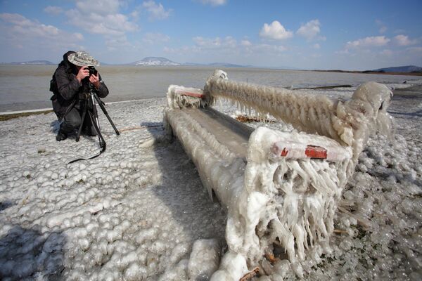 یک نیمکت پوشیده از یخ توسط مردی در ساحل دریاچه بالاتون در Balatonfenyves، در 155 کیلومتری جنوب غربی بوداپست، مجارستان، پس از یخ زدن آب توسط بادهای شدید در دمای زیر صفر، عکس گرفته شده است. - اسپوتنیک افغانستان  