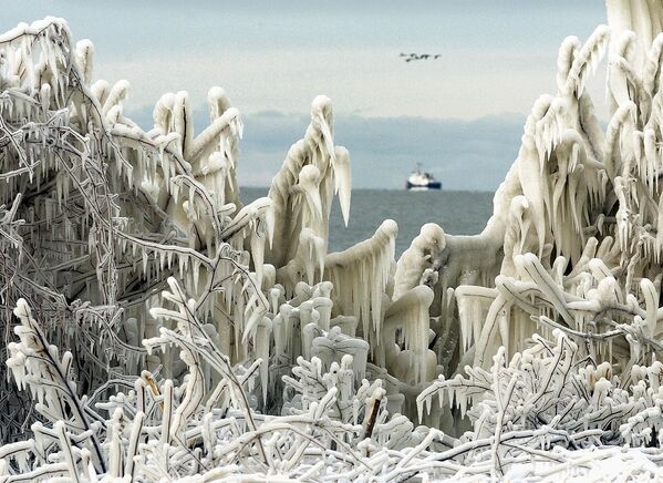 یخ شکن گارد ساحلی ایالات متحده در خلیج نیه توسط درختان پوشیده از یخ در امتداد ساحل دریاچه ایری قاب گرفته شده است و دسته ای از پرندگان بالای سرشان پرواز می کنند.یک روز قبل از شروع رسمی زمستان، بادهای تند و دمای زیر انجماد را به دنبال طوفان برفی که تا یک فوت برف در بخش‌هایی از شمال شرقی اوهایو ریخت، به همراه داشت. - اسپوتنیک افغانستان  