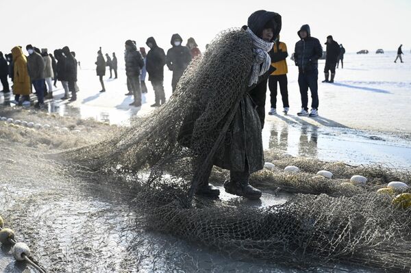 مردم در طول جشنواره سالانه ماهیگیری زمستانی دریاچه چاگان در سونگ یوان، در استان جیلین در شمال شرقی چین، تماشا می کنند که یک ماهیگیر توری را که زیر یخ قرار داده شده است تا ماهی بگیرد.(عکس از جید گا / خبرگزاری فرانسه) - اسپوتنیک افغانستان  