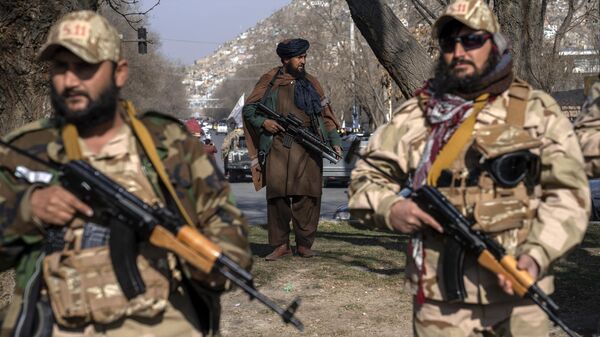Члены движения Талибан - اسپوتنیک افغانستان  