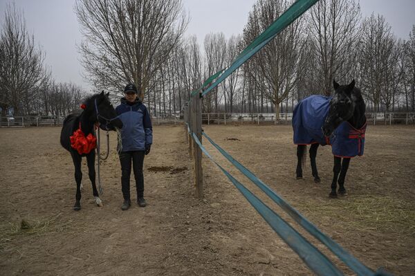 ژوان ژوان، اولین اسب شبیه سازی شده کشور چین توسط شرکت چینی Sinogene. (12 جنوری 2023 تصویر از Jade GAO) - اسپوتنیک افغانستان  