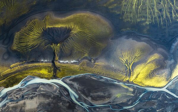 نمونه کارها از بیابان ها به جنگل های بارانی یاروسلاو هورا، جمهوری چک سسریم، صحرای نامیب، نامیبیا: منحنی های صحرای نامیب. این مجموعه عکس در نامیبیا در صحرای نامیب با استفاده از یک هلیکوپتر ساخته شده است.عکاس: در طول پرواز سعی کردم اشکال غیرعادی ایجاد شده توسط خورشید، نور و سایه را همراه با تپه های شنی به تصویر بکشم. - اسپوتنیک افغانستان  