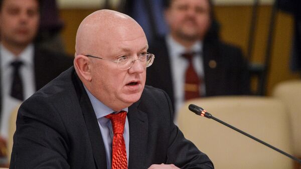 ロシアの国連大使にワシーリー・ネベンジャ氏 - اسپوتنیک افغانستان  