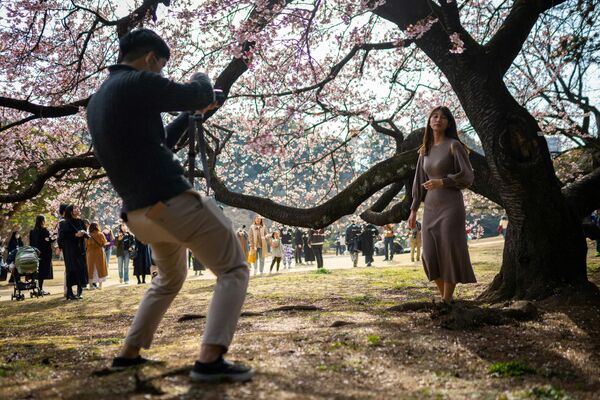 یک زن برای عکس گرفتن در زیر درخت شکوفه گیلاس در پارک شینجوکو گیون در توکیو. 18 فبروری 2023. - اسپوتنیک افغانستان  