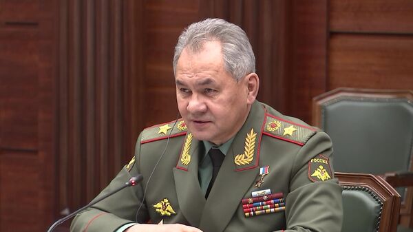 Министр обороны РФ Сергей Шойгу  - اسپوتنیک افغانستان  