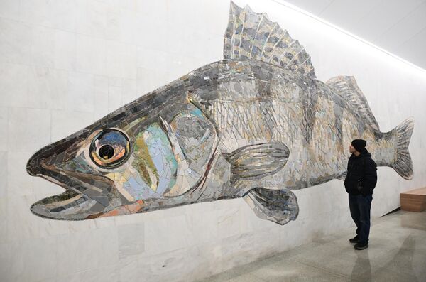نمایی بزرگی که ماهی را در طراحی ایستگاه Nagatinsky Zaton در بزرگترین خط حلقوی مترو در مسکو به تصویر می کشد. - اسپوتنیک افغانستان  