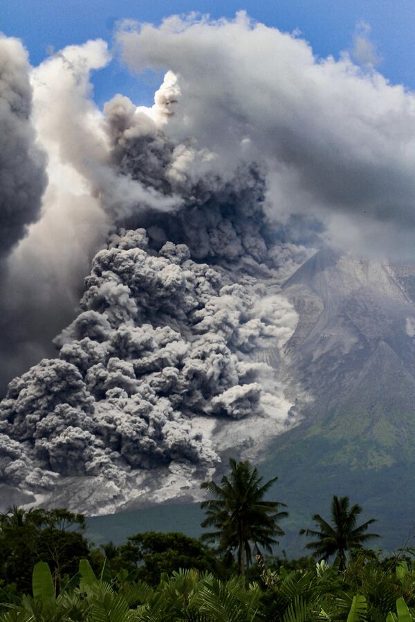 دود غلیظی هنگام فوران کوه مراپی، فعال ترین آتشفشان اندونزیا، از روستای تونگگولاروم در سلمان در 11 مارچ 2023 بلند می شود. - اسپوتنیک افغانستان  