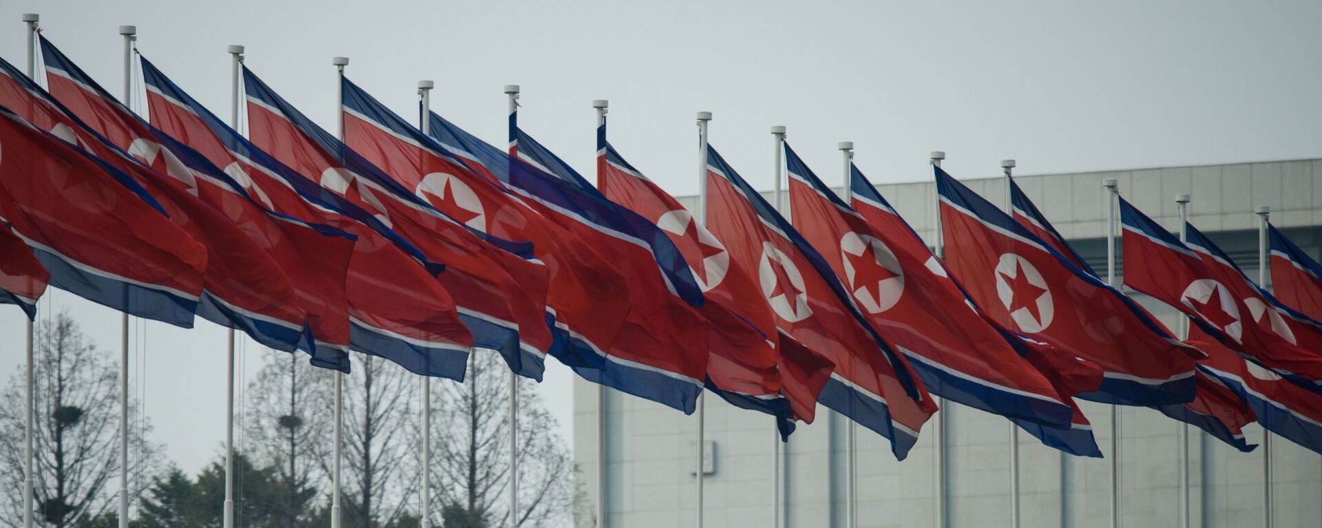 أعلام كوريا الشمالية - اسپوتنیک افغانستان  , 1920, 13.03.2023