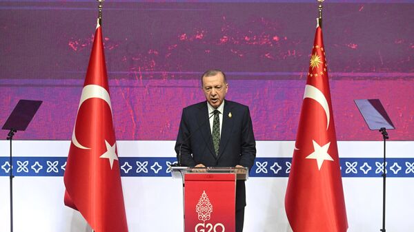 Президент Турции Реджеп Тайип Эрдоган выступает на пресс-конференции во время саммита G20 на Бали - اسپوتنیک افغانستان  