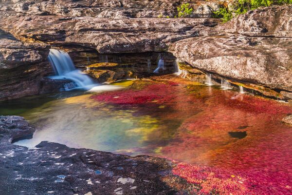 کانو کریستالس در کلمبیا به عنوان زیباترین رودخانه جهان شناخته می شود. این رودخانه که به عنوان رودخانه رنگین کمان نیز شناخته می شود، دارای برخی صخره های معمولی در منطقه کوهستانی شرق کلمبیا است.به همین ترتیب گیاهان آن دارای 5 رنگ زرد، صورتی، سبز، قرمز و بنفش هستند. اکنون یکی از شگفتی های طبیعی سیاره زمین به حساب می آید. این گل بنام ماکارنیا کلاویرا (Macarenia clavijera) شناخته می شود. - اسپوتنیک افغانستان  