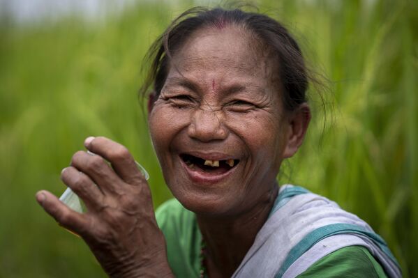 یک زن قبیله ای کربی در حالی که در حین برداشت شالیزار در مزرعه ای در حومه گاوهاتی، هند چای می نوشد - اسپوتنیک افغانستان  