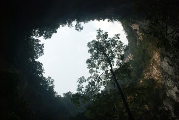 جنگل غار سونگ دونگ ویتنام، بزرگترین غار جهان در قلب پارک ملی فونگ نا کِبنگ در استان کوانگ بین ویتنام قرار دارد. این غار که به تازگی توسط دو محقق در سال ۲۰۰۹ تا ۲۰۱۰ کشف شده است، از سال ۲۰۱۳ برای گردشگران باز است - اسپوتنیک افغانستان  