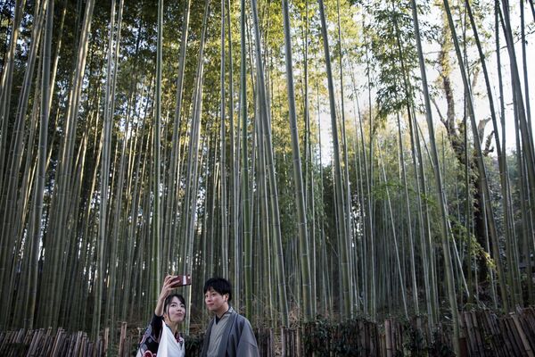 جنگل بامبو آراشیاما (Arashiyama Bamboo Forest)که در منطقه‌ای با همین نام در حومه‌ی کیوتو قرار دارد، یکی از جذاب‌ترین دیدنی‌های این شهر بزرگ به‌شمار می‌رود. این جنگل چشم‌اندازی باورنکردنی و خارق‌العاده از درختان سر به فلک کشیده بامبو را پیش چشمان بازدیدکنندگان می‌گذارد؛ چشم‌اندازهایی بی‌نظیر که در کمتر جایی می‌توان آن‌ها را دید. این جنگل طبیعی با مسیرهای مخصوص پیاده‌روی گردشگران، یکی از مکان‌های بدون آلودگی صدا در جاپان شمرده می‌شود. - اسپوتنیک افغانستان  
