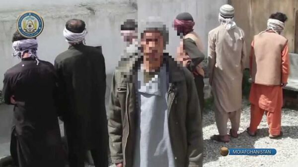 وزارت داخله طالبان - اسپوتنیک افغانستان  