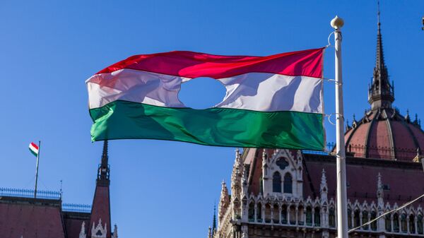 Флаг периода событий 1956 года на фоне Парламента Венгрии в Будапеште - اسپوتنیک افغانستان  