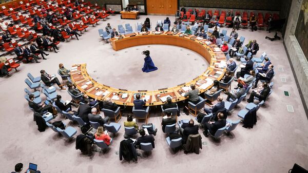 Заседание Совбеза ООН по Украине в Нью-Йорке  - اسپوتنیک افغانستان  