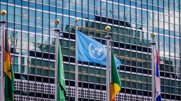 Флаги в Центральных учреждениях Организации Объединенных Наций в Нью-Йорке, США - اسپوتنیک افغانستان  