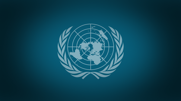 شورای امنیت سازمان ملل متحد - اسپوتنیک افغانستان  